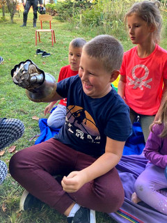 Mini 5044f508 4748 434d 9804 da434f7ad857