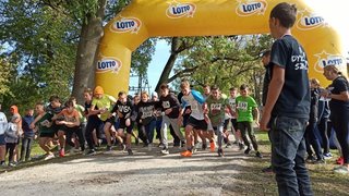 Mini a6e159cd ecd5 414a 9a5d 48a07936d7ff