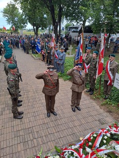 Mini 9e462f0f a73a 4e6d b10f b2265075c266