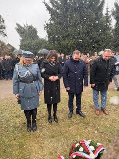 Mini 0ae5623a 3fd4 4f4f acf7 b848cdc9eebf