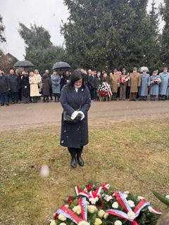 Mini cc387244 ff1e 40aa 8b24 6f3c14725d21