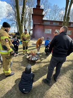 Mini 930d24f5 938f 47f6 b851 90d8fa7e223c