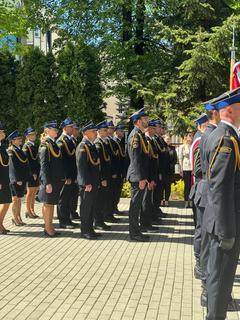 Mini 6482df2d 062e 416c 95f3 ef32c96e1154