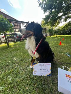 Mini e26542dc d82b 497f 93d4 b5a1568e6ddc