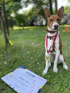 Mini d096b1e2 3bc3 486c a03b c0833dd010fc