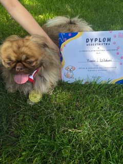 Mini 58f28761 eb09 4f8e 8ae4 e2908d327b90