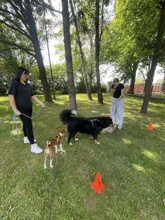 Mini 6e35f431 91ee 4bee 8b86 f90f3bf85bf5