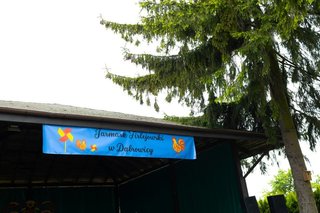 Mini 0c5e5a55 b49e 496b afee 2395ef4f9614