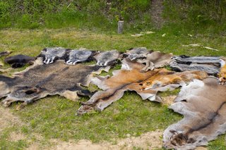 Mini 720dd926 6ff0 4f5a 9da3 5625f3d49264