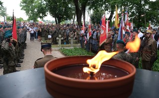 Mini ad0cbf75 d558 4a59 9b26 409588111018