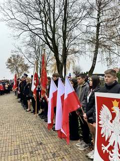 Mini 2b2947fe 102f 416f b34c e24077c3c333